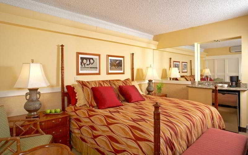 Equus Honolulu Quarto foto